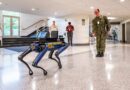 Humanoid Robots Are Moving From Demonstration To Deployment